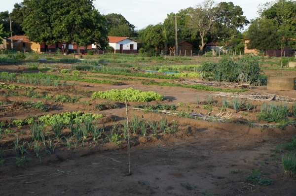 Agricultores familiares recebem kits de irrigação - Imagem 9