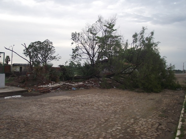 Chuva e ventos fortes causam muitos estragos em Campo Maior - Imagem 6