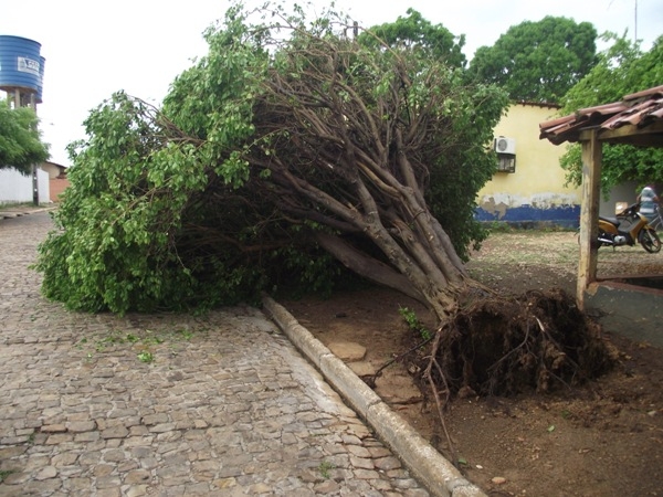 Chuva e ventos fortes causam muitos estragos em Campo Maior - Imagem 7