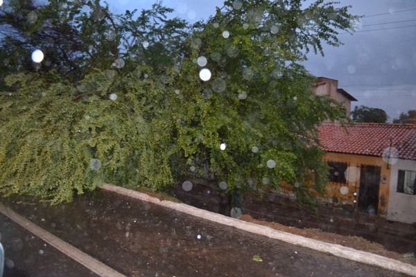 Chuva e ventos fortes causam muitos estragos em Campo Maior - Imagem 3