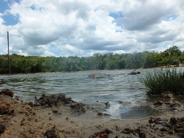 “INCRIVEL”  LAGOA COM ÁGUA SALGADA E DOCE EM SALINAS NO PIAUÍ - Imagem 12