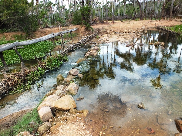 “INCRIVEL”  LAGOA COM ÁGUA SALGADA E DOCE EM SALINAS NO PIAUÍ - Imagem 7
