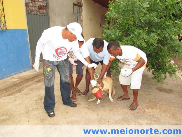Prefeitura de Barras realiza campanha de combate ao calazar - Imagem 3