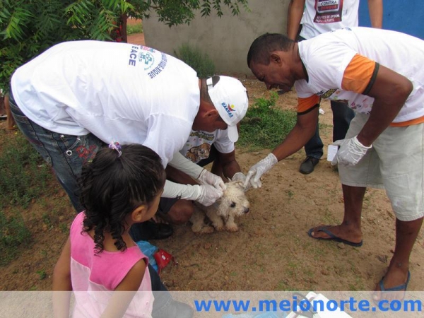 Prefeitura de Barras realiza campanha de combate ao calazar - Imagem 2