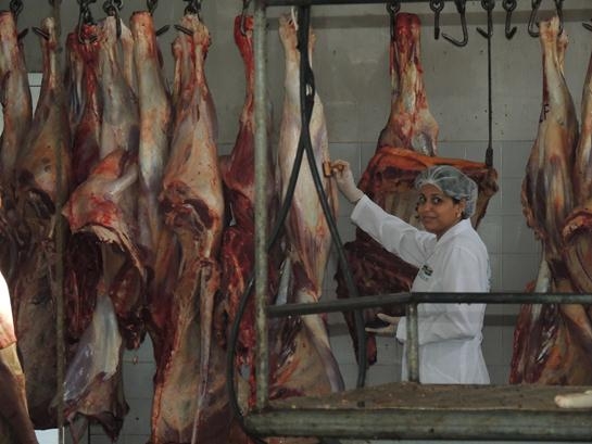 Prefeito Jonas Moura acompanha a equipe do SIM no matadouro municipal - Imagem 2