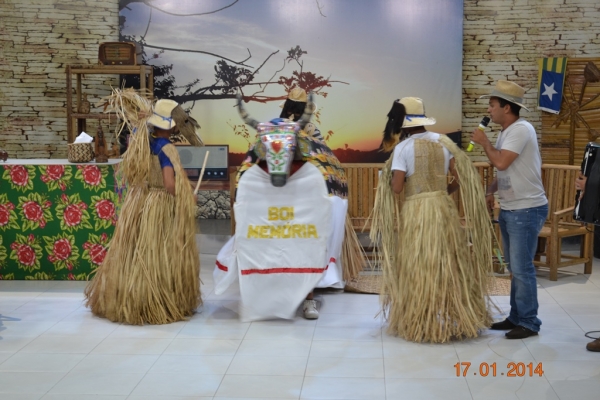 Reisado de Boa Hora participará do Programa Nossa Terra, na TV Meio Norte, neste Domingo - Imagem 9
