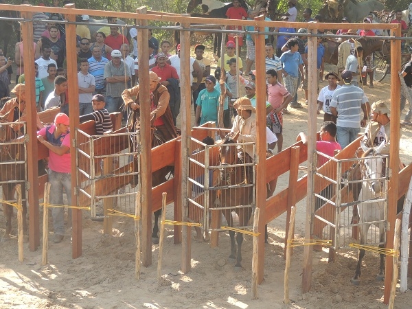             Emoção e organização marcam a festa do vaqueiro em Monsenhor Gil - Imagem 1