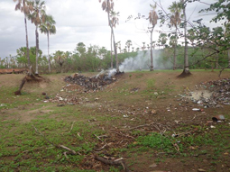 Matadouro público vira lixão a céu aberto.