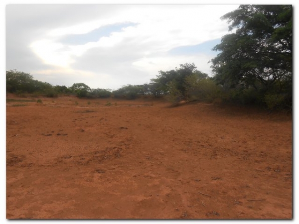 Prefeitura de Inhuma constrói açude no Campestre - Imagem 7