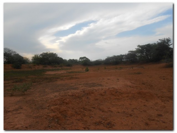 Prefeitura de Inhuma constrói açude no Campestre - Imagem 6