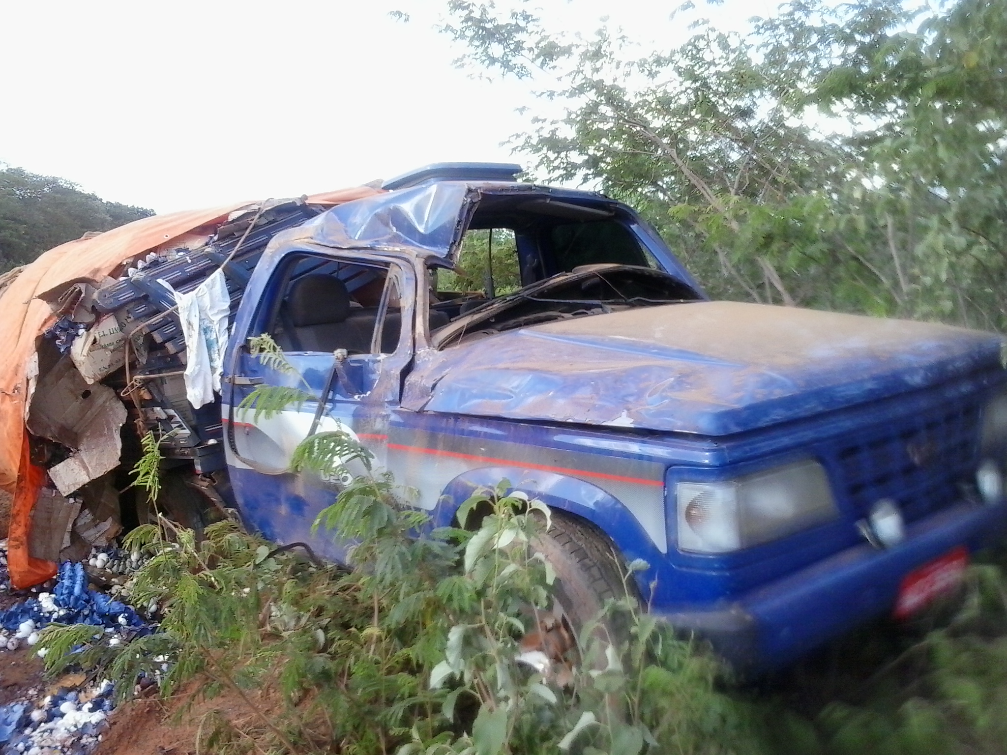 Carro carregado de ovos capota na PI-120