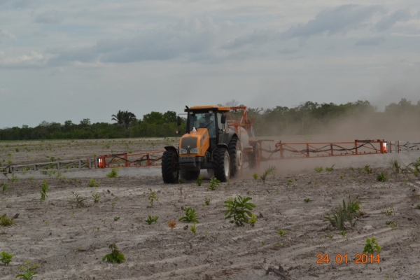 Fazenda Agropecuária Barras está plantando vários hectares de terra com soja - Imagem 13