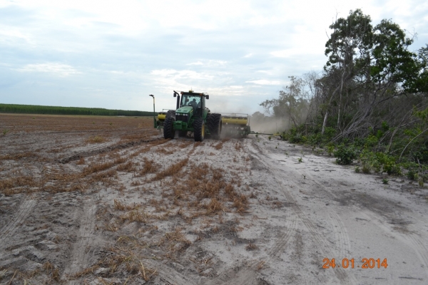 Fazenda Agropecuária Barras está plantando vários hectares de terra com soja - Imagem 3