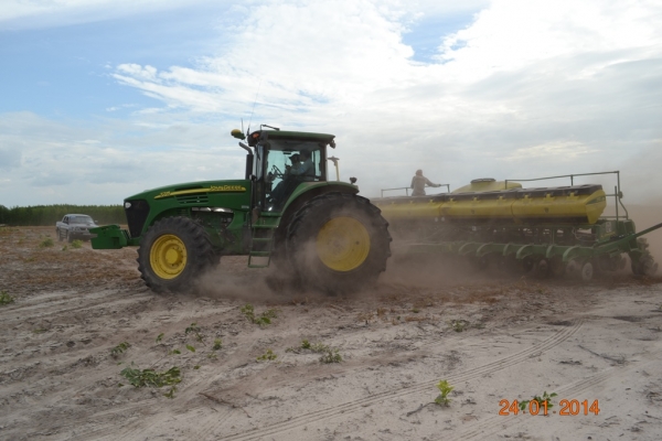 Fazenda Agropecuária Barras está plantando vários hectares de terra com soja - Imagem 1
