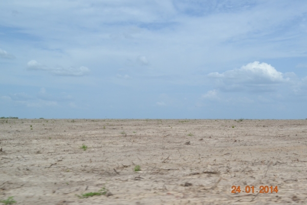 Fazenda Agropecuária Barras está plantando vários hectares de terra com soja - Imagem 17