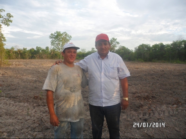 Projeto de Horta mostra o sucesso da Agricultura Familiar em Boa Hora - Imagem 29