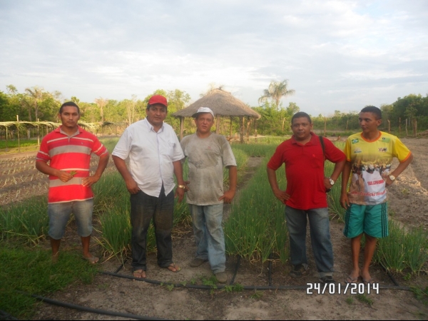 Projeto de Horta mostra o sucesso da Agricultura Familiar em Boa Hora - Imagem 12