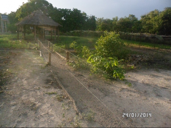 Projeto de Horta mostra o sucesso da Agricultura Familiar em Boa Hora - Imagem 21