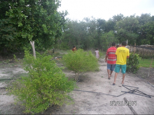 Projeto de Horta mostra o sucesso da Agricultura Familiar em Boa Hora - Imagem 43