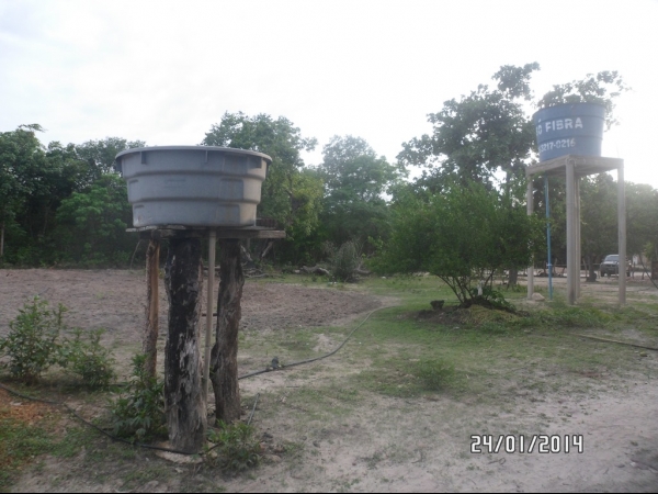 Projeto de Horta mostra o sucesso da Agricultura Familiar em Boa Hora - Imagem 3