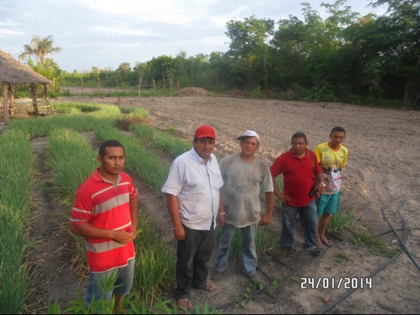 Projeto de Horta mostra o sucesso da Agricultura Familiar em Boa Hora - Imagem 11