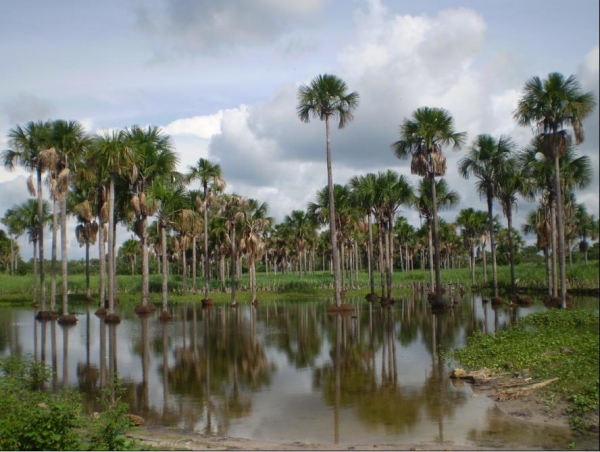 Parabéns Boa Hora, pelos seu 20 anos de emancipação política - Imagem 3