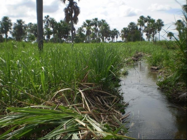 Parabéns Boa Hora, pelos seu 20 anos de emancipação política - Imagem 1
