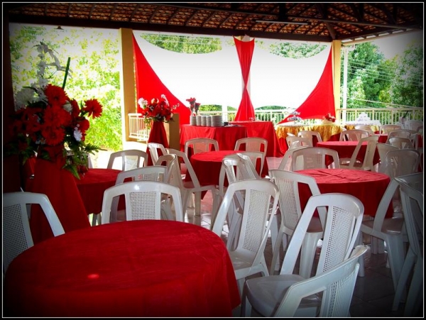 Franguitos de Cara Nova! - Imagem 8