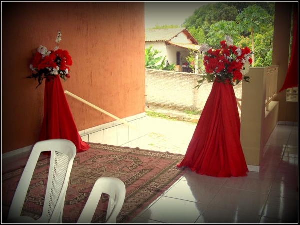 Franguitos de Cara Nova! - Imagem 11