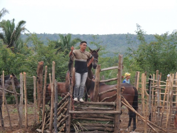 Festa do Vaqueiro na comunidade Baixa Redonda  - Imagem 8
