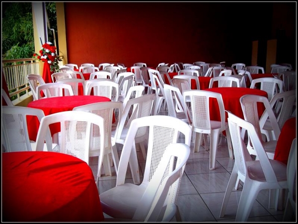 Franguitos de Cara Nova! - Imagem 3