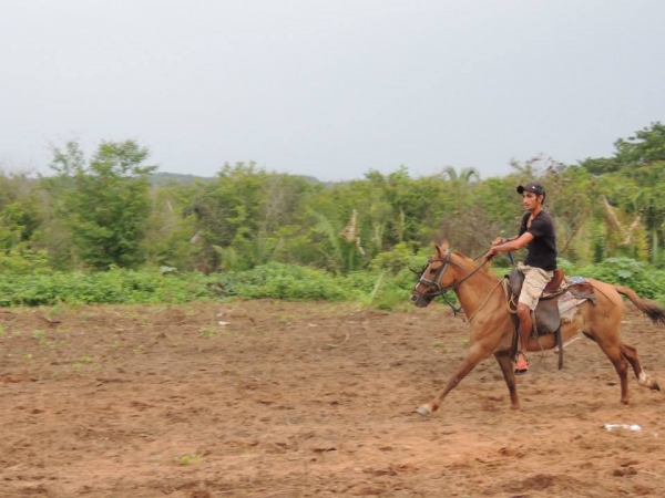Festa do Vaqueiro na comunidade Baixa Redonda  - Imagem 4