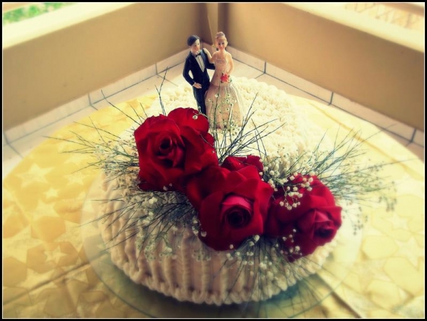 Franguitos de Cara Nova! - Imagem 5