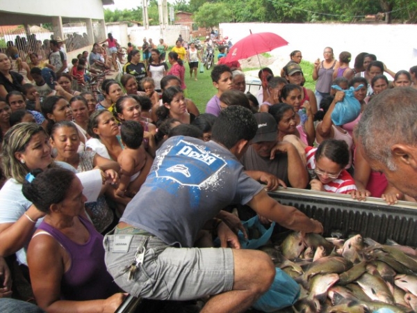 Mais de 16 mil kg de peixes  já foram distribuídos  no município de Miguel Alves - Imagem 2