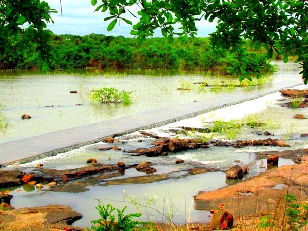 Chuvas mudam cenário barrense - Imagem 2