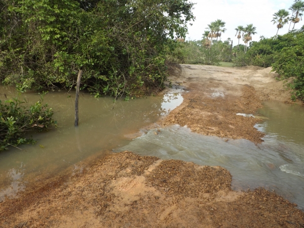 Comunidades em Lagoa Alegre no Isolamento - Imagem 2