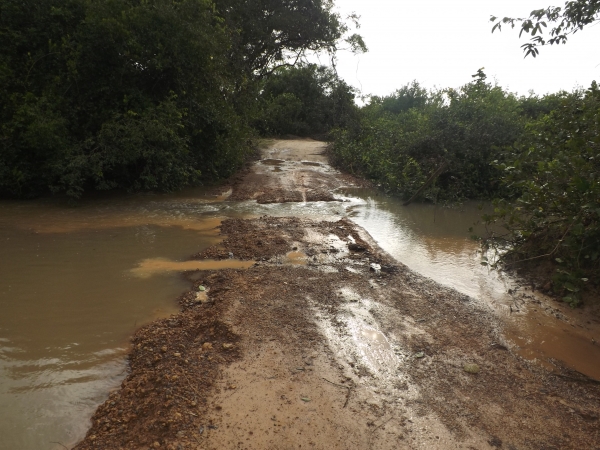Comunidades em Lagoa Alegre no Isolamento - Imagem 1