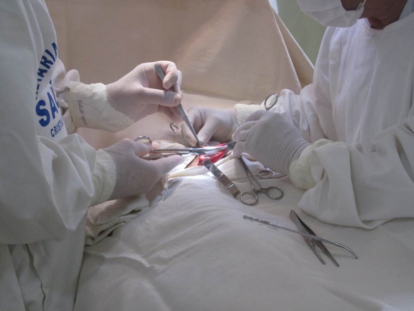 Semanalmente são realizadas Cirurgias em Cristalândia - Imagem 12