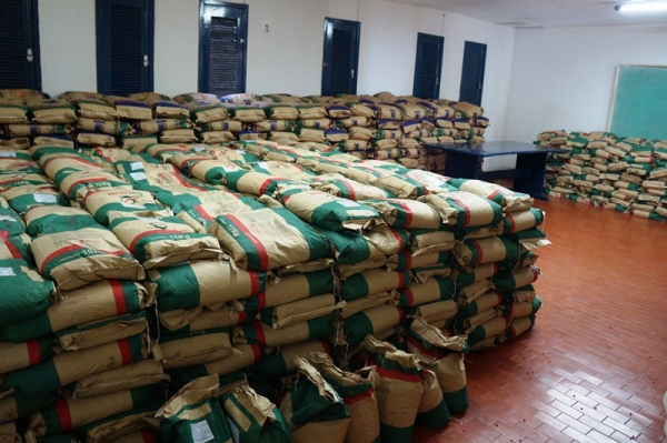 Secretaria de Agricultura distribuirá 2 toneladas de sementes - Imagem 2