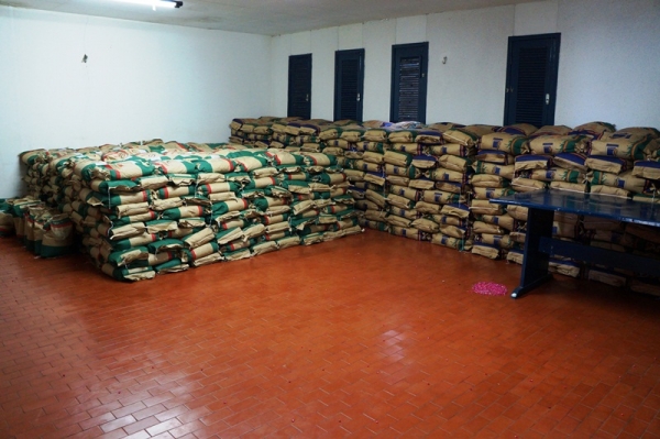 Secretaria de Agricultura distribuirá 2 toneladas de sementes - Imagem 1