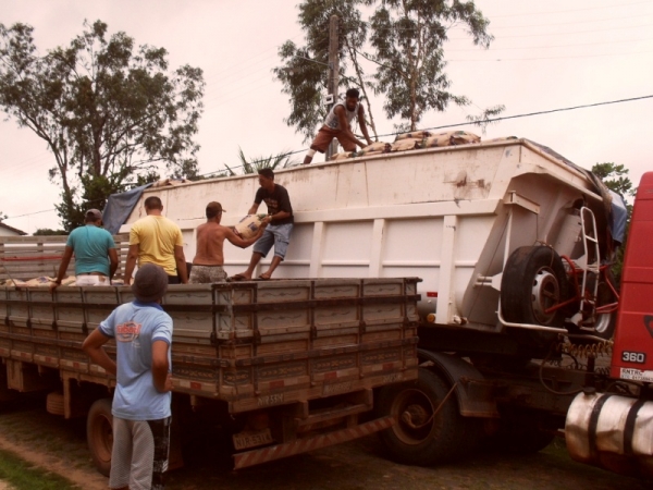 Secretaria de Agricultura distribuirá 2 toneladas de sementes - Imagem 5