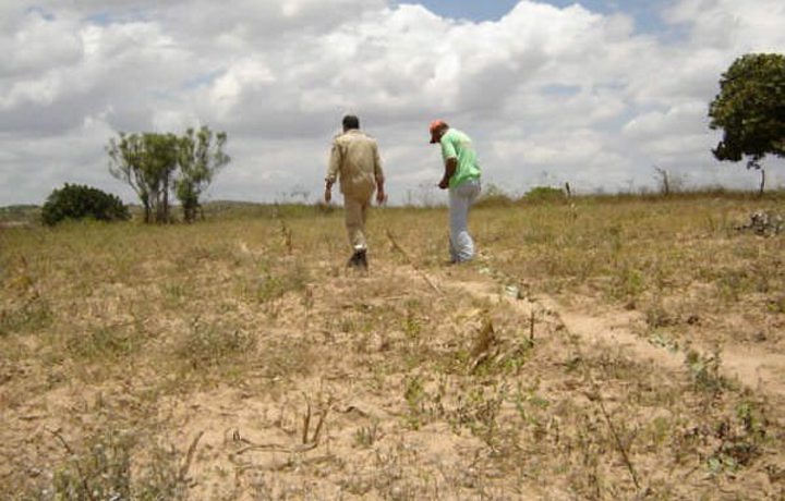 665 agricultores Juazeirenses irão receber o Garantia Safra