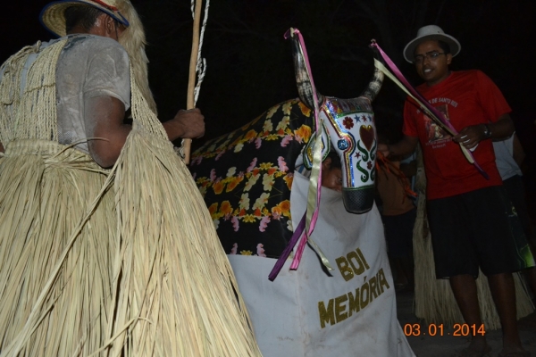 Grupo de Reisado do Boi Memória faz peregrinação no bairro Mato Seco. - Imagem 5