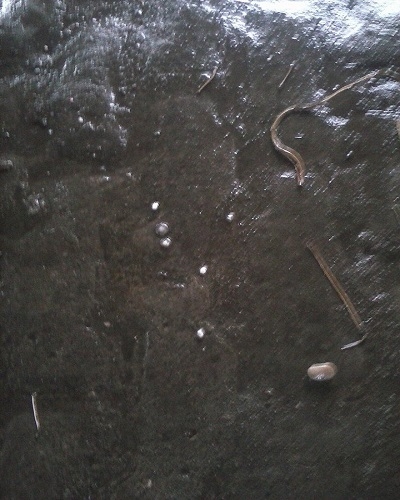 Chuva de Granizo? - Imagem 1