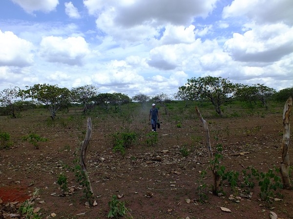 Zona Rural de Dom Expedito Lopes esta contemplado com poço tubular. - Imagem 10