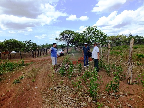 Zona Rural de Dom Expedito Lopes esta contemplado com poço tubular. - Imagem 1