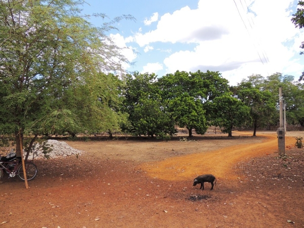 Depois de 3 anos visitamos nossos velhos amigos - Imagem 6