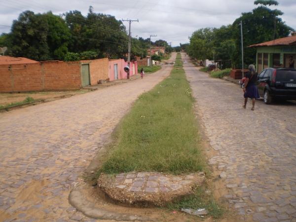 Mato e lama tomam conta do bairro Terra Nova - Imagem 1