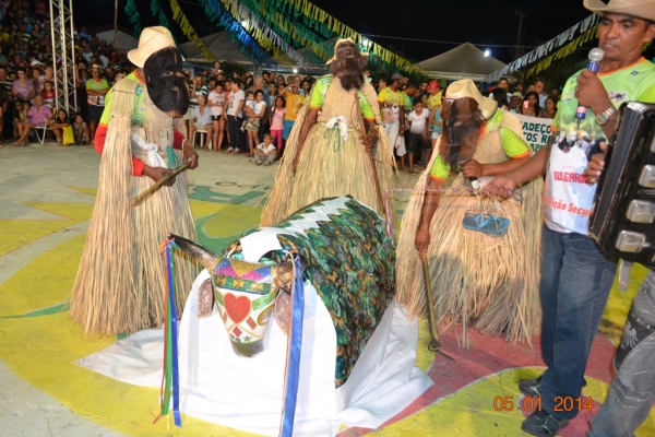 Segundo dia de Apresentação do XV Festival de Reisado superou todas as expectativas - Imagem 87
