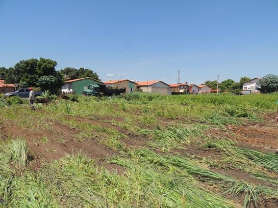 Iniciada a limpeza do terreno para construção de quadra poliesportiva no bairro Nova Brasília - Imagem 5